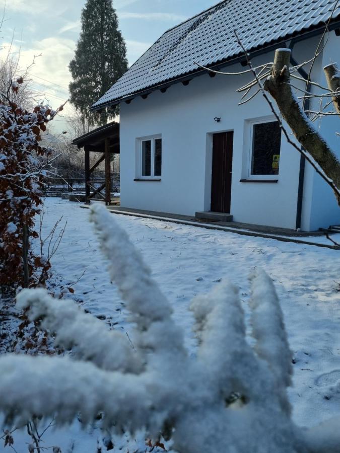 Domek Drwala K. Karpacza Villa Sosnowka  Bagian luar foto