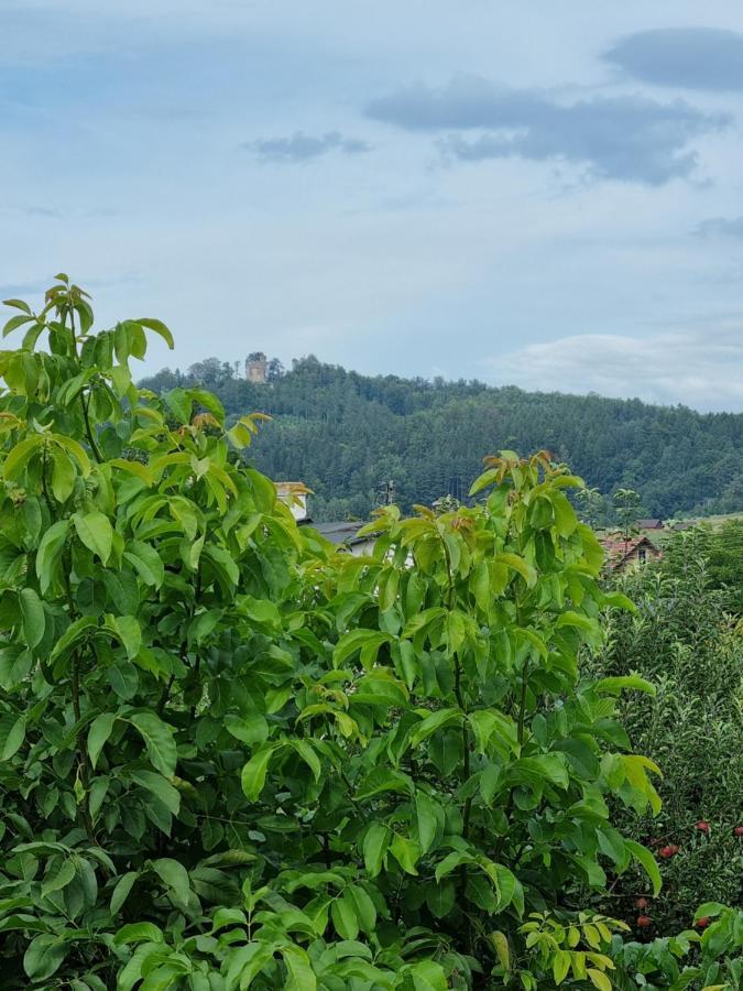 Domek Drwala K. Karpacza Villa Sosnowka  Bagian luar foto