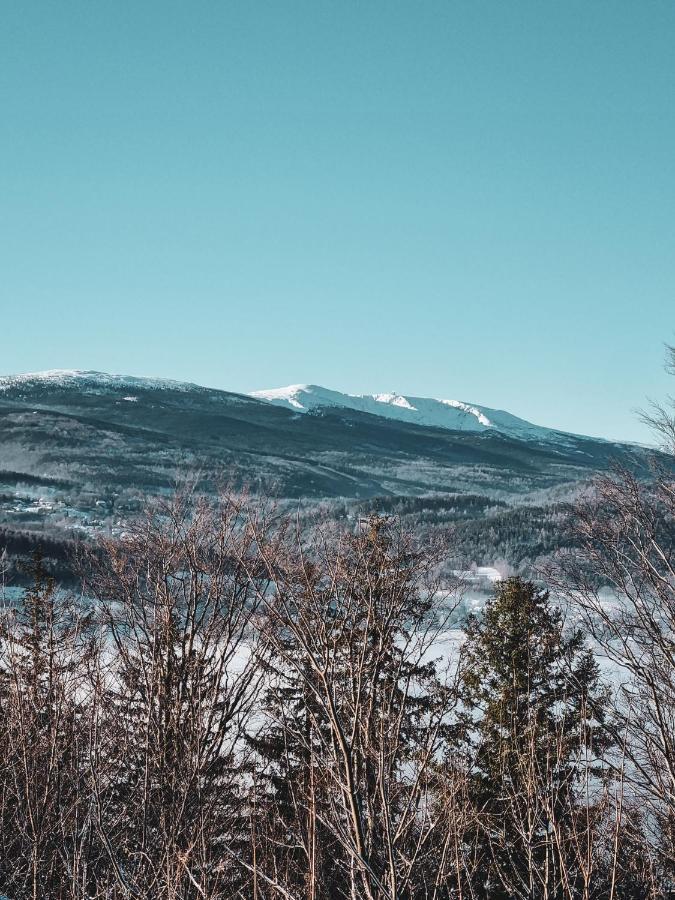 Domek Drwala K. Karpacza Villa Sosnowka  Bagian luar foto