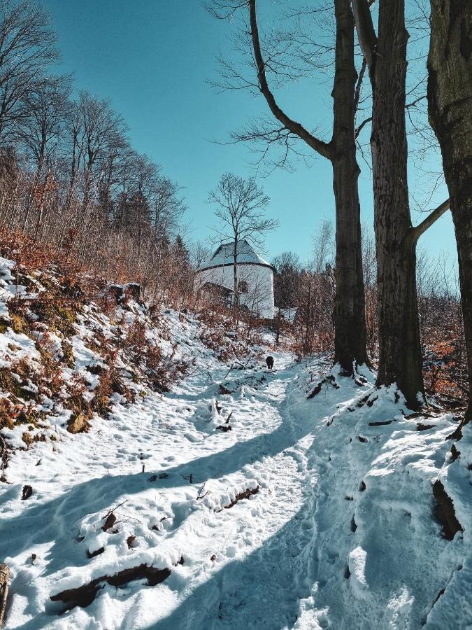 Domek Drwala K. Karpacza Villa Sosnowka  Bagian luar foto